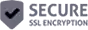 SSL secure connection